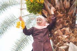 Khofifah ajak warga kunjungi Kurma Park Pasuruan