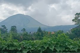 Tercatat, sebanyak 80 gempa vulkanik terjadi di Gunung Lokon