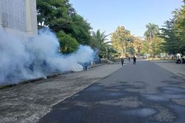 Sebanyak 500 lebih kasus DBD di Mataram