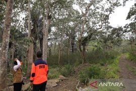 Dibawah kaki Gunung Lewotobi Laki-Laki, BNPB rencanakan relokasi enam desa di Flores Timur