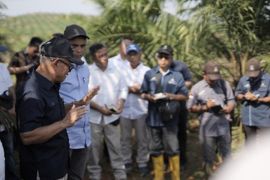 Dewan Komisaris PTPN IV PalmCo kunjungi Regional V