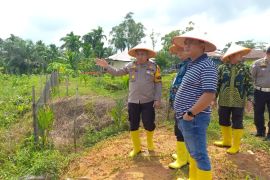 Dukung ketahanan pangan, Polsek Mandau manfaatkan lahan produktif