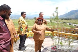 Ribka Haluk tinjau kawasan pusat pemerintahan Papua Pegunungan