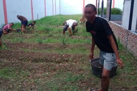 LPKA Medan siapkan lahan untuk melatih anak binaan bercocok tanam sayuran