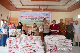 PT SMGP bersama Polres Madina salurkan bantuan 2,5 ton beras bagi masyarakat Sibanggor