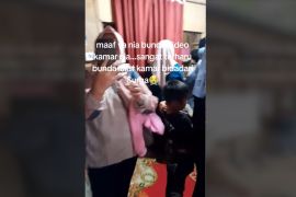 Fenomena tragis almarhum Nia Kurnia Sari "Si Penjual Gorengan": haru, kritik, dan eksploitasi di mata netizen