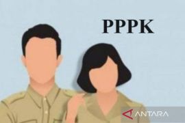 Sebanyak 3.737 pelamar PPPK di Madina akan ikuti ujian CAT