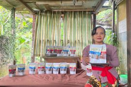 Kisah sukses nasabah PNM Mekaar olah sisik ikan hingga ekspor ke berbagai benua