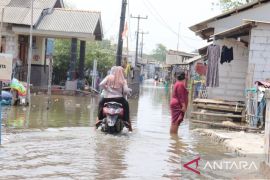 BPBD Kabupaten Bekasi bantu logistik kepada warga terdampak banjir rob