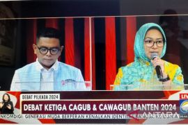 Airin sebut Disnaker Banten belum maksimal atasi pengangguran