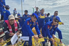 Peringati HUT ke-74 Polairud, Ditpolairud Polda Babel transplantasi terumbu karang di Pulau Panjang