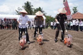 Banjar govt supports President Prabowo's food security program