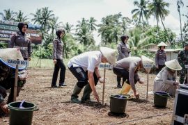 Polres dan Pemkab Ciamis berkolaborasi manfaatkan lahan "tidur" untuk tanaman pangan