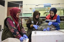 Pertamina kuatkan riset energi dan pangan lewat PFsains