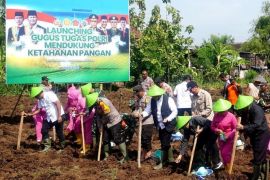 Pemkot Madiun bersama TNI dan Polri lakukan penanaman jagung