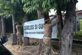 Satpol PP Bali turunkan spanduk Coblos Si Gundul yang marak di kota