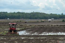 Kementan libatkan IPB untuk survei cetak sawah baru di Lebak