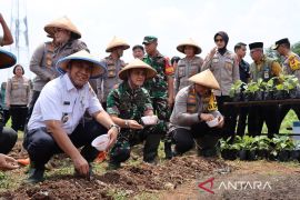 Forkopimko manfaatkan 1,5 hektare lahan kosong di Joglo Jakbar