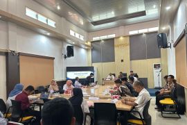 BPS-Pemkab Bangka Selatan gelar FGD fertilasi remaja dan kematian maternal