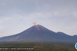 Semeru kembali alami erupsi dengan letusan setinggi 800 meter