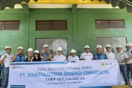 PLN dukung hilirisasi industri Kelapa Sawit