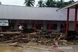 Tiga desa di Tapsel dilanda banjir bandang, ini nama puluhan korban luka-luka
