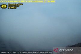 PVMBG: Gunung Dempo berkabut pasca-erupsi, pendakian ditutup sementara