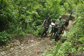 Distribusi logistik Pilkada menggunakan kuda di Jember