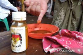 Babel kemarin, undang orang "pintar" tolak hujan selama pilkada hingga pemusnahan surat suara rusak