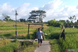 Dinas PMA layangkan teguran ke 23 desa tak setor LPJ Subak