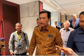 Luhut: Kenaikan PPN 12 persen pada 2025 hampir pasti diundur