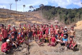 Transisi energi tanpa mengorbankan hutan Kalimantan