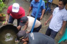 Antisipasi DBD, Dinkes Kota Tangerang ajak masyarakat aktifkan jumantik