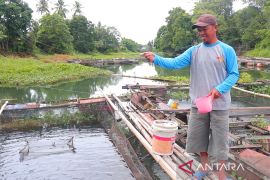 Bank Kalsel bersama OJK, sentuh warga daerah terpencil melalui Laku Pandai