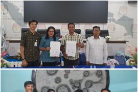 Petugas Adhoc Pilkada Haltim dilindungi Program Jamsostek