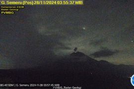 Kamis pagi, Gunung Semeru empat kali erupsi