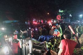 Dua orang tewas tertimpa pohon tumbang di Malang
