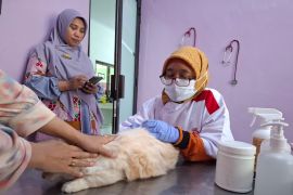 UPTD Kesehatan Hewan Lampung telah vaksinasi rabies 1.580 hewan peliharaan