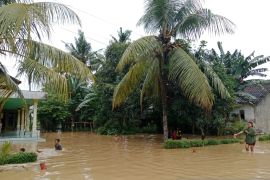 Ratusan rumah warga di tiga desa di Jember terendam banjir