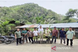 Sembilan kelompok perhutanan sosial Madina dapat bantuan bibit tanaman