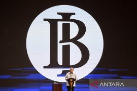 Pertumbuhan ekonomi RI tetap terjaga didukung permintaan domestik