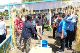 Pj Bupati Biak Sofia mengalirkan kebutuhan air bersih warga di delapan kampung