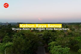 Feature - Kebun Raya Banua Wisata Alam di Tengah Kota Banjarbaru (Bagian 3)