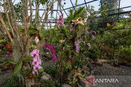 Nuanu Magic Garden lestarikan keanekaragaman hayati di Bali