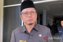 Bangka Tengah lakukan diversifikasi investasi untuk menggeliatkan ekonomi