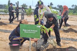 Menhut tinjau rumah produksi bibit kawasan ibu kota baru Indonesia