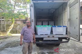 Partisipasi pemilih di Pilkada Balikpapan sekitar 60 persen