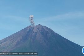 Gunung Semeru erupsi sebanyak sembilan kali pada Selasa pagi