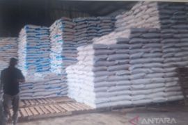 Penyaluran pupuk subsidi dipercepat sudah mencapai 6,7 Juta ton