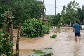 Banjir dan Longsor terjang Pesisir Selatan